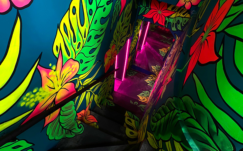 დახურული თინეიჯერული წვეულება 15, 20 ან 25 სტუმარზე, დიჯეი, კარაოკე და საჩუქრები ბარი 28 -ისგან. image 0