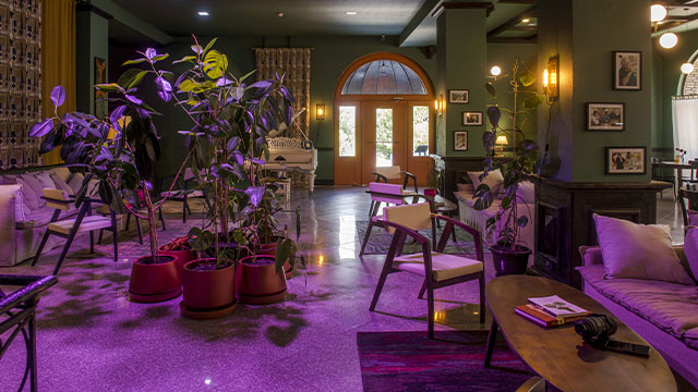 განიტვირთე მეგობრებთან ერთად ყვარელში