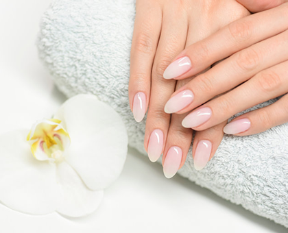 ფრჩხილის დაგრძელება + ნუნების დამუშავება + შილაკი 