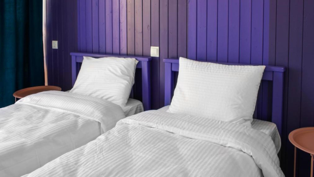 ისარგებლე ფასდაკლებით უკრაინული დღეების ფარგლებში 2 ადამიანის განთავსებაზე სასტუმრო შატო წინანდალი | Château Tsinandali Hotel -ში. image 9