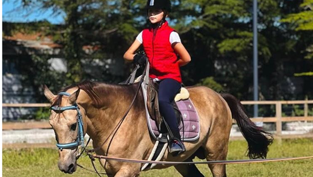 ისარგებლე ფასდაკლებით და მიიღე სხავადასხვა მომსახურება ბათუმის საცხენოსნო კლუბი | Batumi horse club -სგან image 2