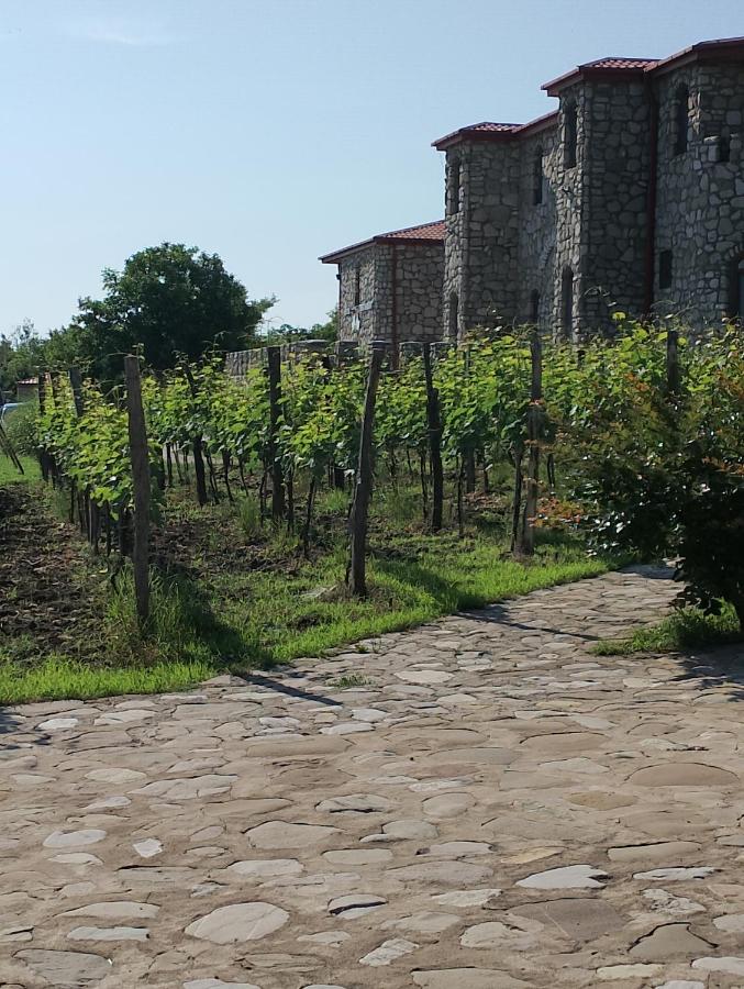 ისარგებლე ფასდაკლებით ნომერში 2 სტუმრის განთავსებაზე შატო თეთრი ბაირაღები | Chateau White Flags -ში. image 9