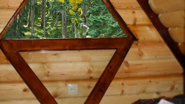 10 ლარად! შეიძინე Swooper Code-ი და მიიღე 28%-იანი ფასდაკლება ''კოტეჯი სოჭი რაჭაში / Cottage Sochi in Racha''-სგან ! image 10