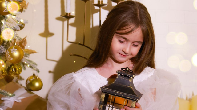 ისარგებლე ფასდაკლებით საახალწლო ფოტოსესიაზე Photography Studio Butterfly -ში. image 3