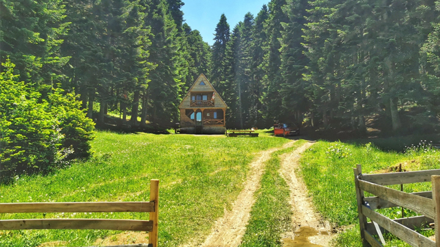 10 ლარად! შეიძინე Swooper Code-ი და მიიღე 28%-იანი ფასდაკლება ''კოტეჯი სოჭი რაჭაში / Cottage Sochi in Racha''-სგან ! image 11