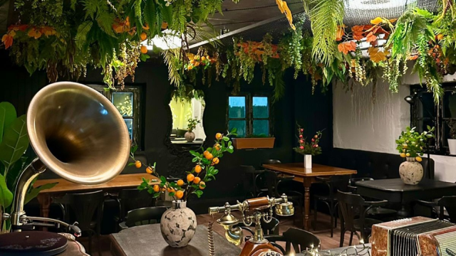 შექმენი დაუვიწყარი მოგონებები ჰაიდ აუთ ბაკურიანში image 0