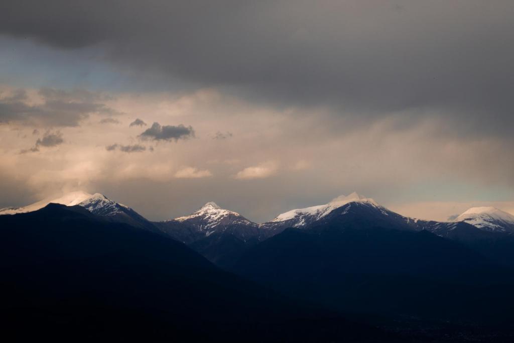 შექმენი დაუვიწყარი მოგონებები შატო და მეღვინეობა მოსმიერში image 19