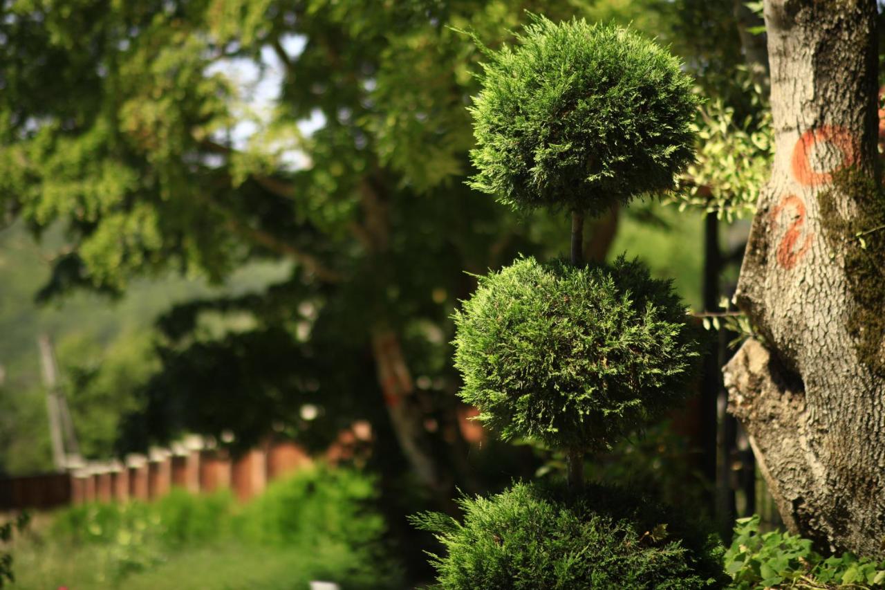 Enjoy a discount on accommodation for 6 people in a cottage on weekdays at Villa Vejini.  image 15