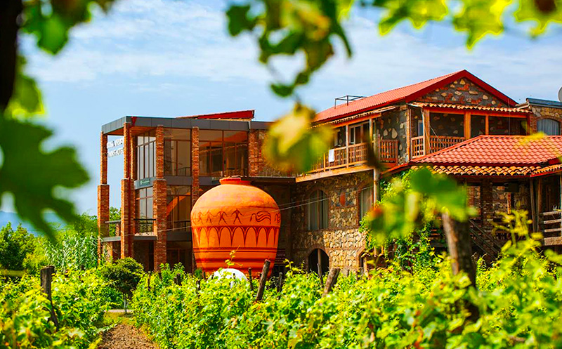 გაატარე დაუვიწყარი დრო სასტუმრო ტყუპების საღვინე სახლში. image 2