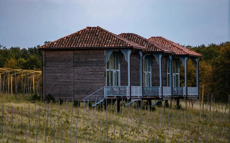 შექმენი დაუვიწყარი მოგონებები მეგობრებთან ერთად შატო ვარციხეში 0