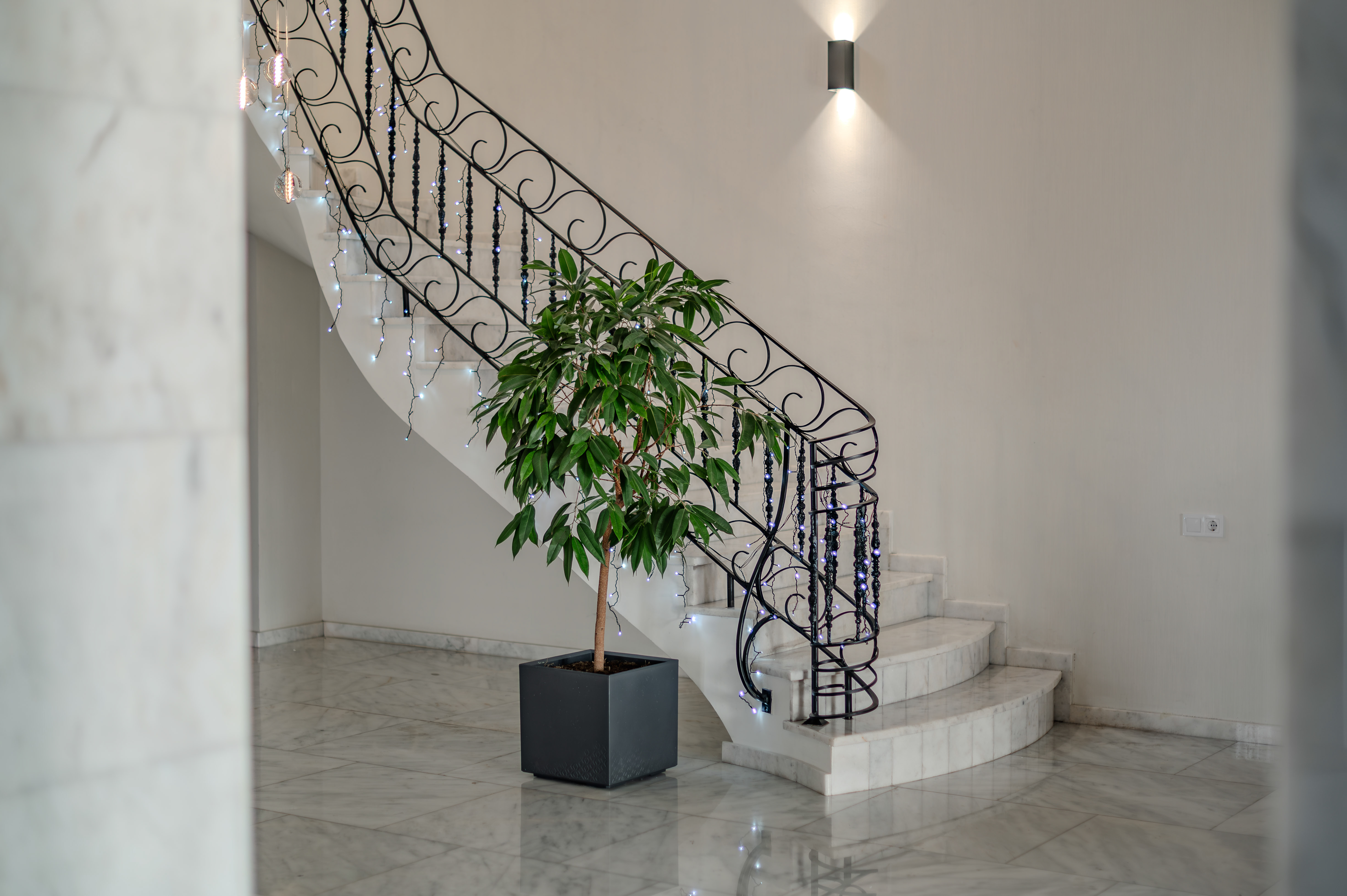 შექმენი დაუვიწყარი მოგონებები საყვარელ ადამიანებთან ერთად image 2