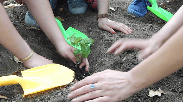 10 ლარად, 50%-იანი ფასდაკლების Swooper Code-ი დაბადების დღის გადახდაზე თბილისის მუზეუმებში  «Happy day-სთან» ერთად image 3