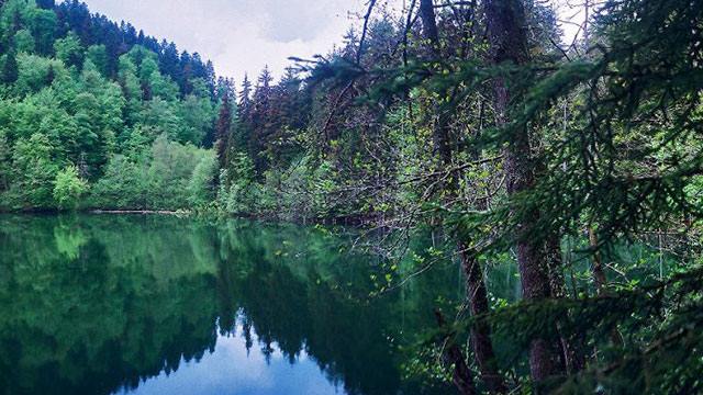 2 ლარად, 50%-იანი ფასდაკლების Swooper Code-ი 1 დღიან ტურზე დაშბაშის კანიონსა და ქოროღლის ციხეზე კომპანიისგან «View Travel» image 7