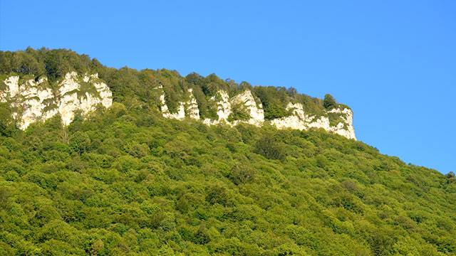 5 ლარად, 41%-იანი ფასდაკლების ვაუჩერი2 დღიან ტურზე ხვამლის მთაზე კომპანიისგან Traveler.ge image 2