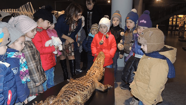 10 ლარად, 50%-იანი ფასდაკლების Swooper Code-ი დაბადების დღის გადახდაზე თბილისის მუზეუმებში  «Happy day-სთან» ერთად image 11