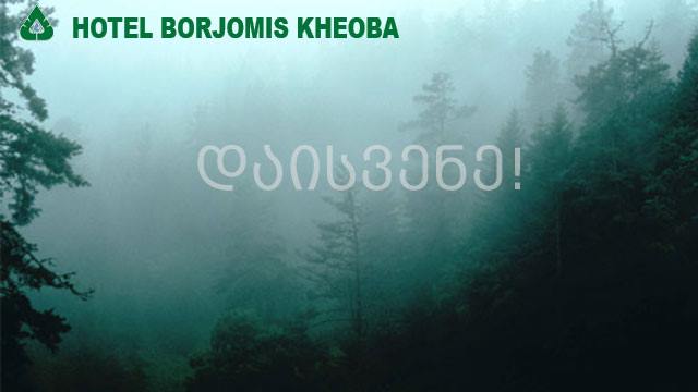 10 ლარად, 36%-იანი ფასდაკლების ვაუჩერი ნომერზე 2 პერსონაზე, 1 დღე-ღამე სასტუმროსგან «ბორჯომის ხეობა» image 0