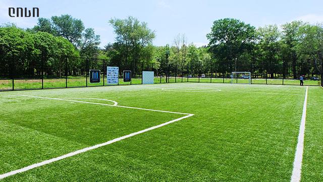 4 ლარად, 50%-იანი ფასდაკლების Swooper Code-ი სპორტული მოედნის დაქირავებაზე image 1