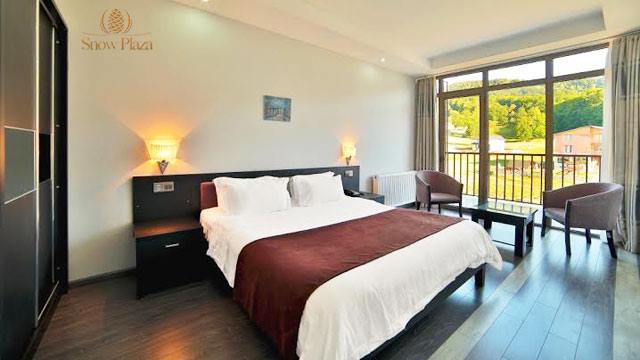 10 ლარად, 35%-იანი ფასდაკლების Swooper Code-ი სასურველი ნომრის დაქირავებაზე კვებით ბაკურიანის სასტუმროში «Snow Plaza» image 1