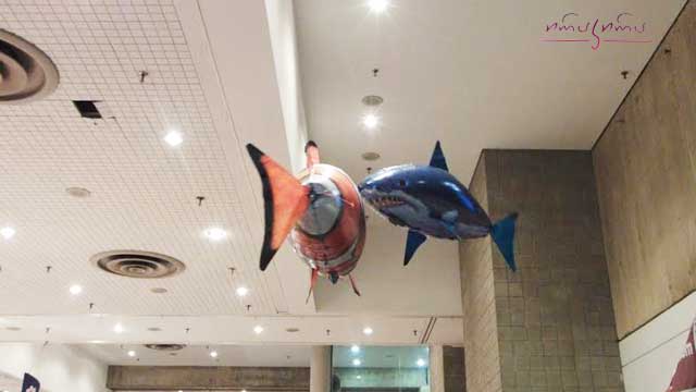 10 ლარად, 40%-იანი ფასდაკლების Swooper Code-ი პროგრამაზე ბიჭებისთვის „კარიბის ზღვის მეკობრეები“ 20 ბავშვზე სადღესასწაულო ცენტრში «ირაკირა ბეიბი» image 7