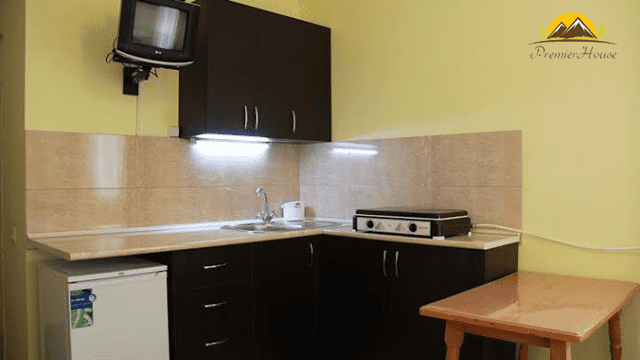 5 ლარად, 50%-მდე ფასდაკლების Swooper Code-ი სასურველი ნომრის დაქირავებაზე კვებით ან კვების გარეშე ბაკურიანის სასტუმროში «Premier House» image 3