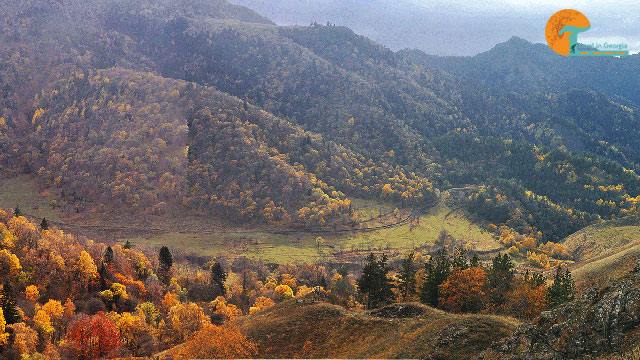 1 ლარად, 33%-იანი ფასდაკლების Swooper Code-ი 1 დღიან პილიგრიმულ ტურზე ძამას ხეობაში კომპანიისგან «Travel in Georgia» image 2