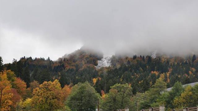 5 ლარად, 66%-იანი ფასდაკლების ვაუჩერი 1 ღამეზე 1 პერსონაზე სახლის ტიპის სასტუმროში «ბარლეონი» image 0