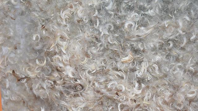 3 ლარად, 41%-მდე ფასდაკლების ვაუჩერი ახალი ბუმბულის ბალიშზე კომპანიისგან «ბალიშების გაახლება» image 0