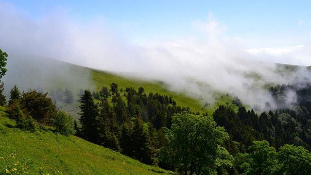 5 ლარად, 43%-იანი ფასდაკლების ვაუჩერი 2 დღიან ტურზე ლომის მთაზე კომპანიისგან Traveler.ge image 2