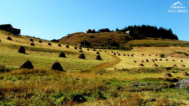 8 ლარად, 43%-იანი ფასდაკლების Swooper Code-ი 3 დღიან ტურზე თუშეთში კომპანიისგან «Veco Travel» image 0