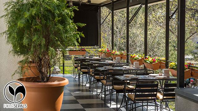 10 ლარად, 31%-იანი ფასდაკლების Swooper Code-ი მენიუზე 10 პერსონაზე  რუსთავის კაფე-რესტორანში «Foursepals» image 6