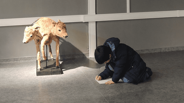 10 ლარად, 50%-იანი ფასდაკლების Swooper Code-ი დაბადების დღის გადახდაზე თბილისის მუზეუმებში  «Happy day-სთან» ერთად image 16