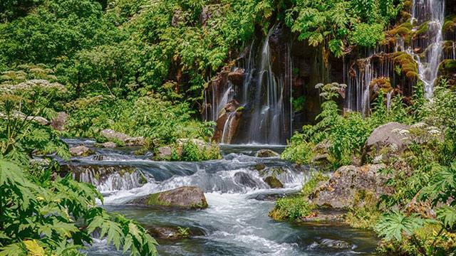 2 ლარად, 50%-იანი ფასდაკლების Swooper Code-ი 1 დღიან ტურზე დაშბაშის კანიონსა და ქოროღლის ციხეზე კომპანიისგან «View Travel» image 2