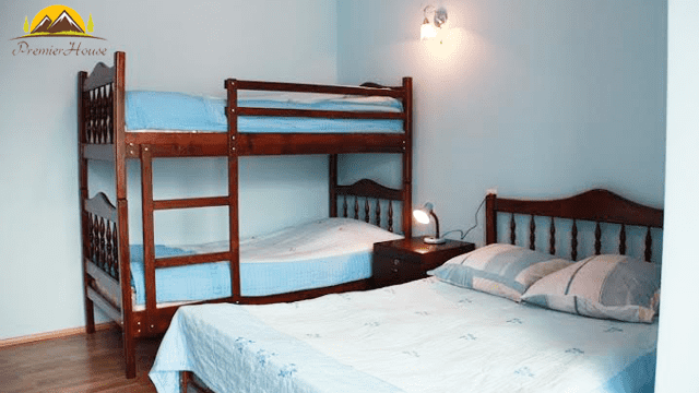 5 ლარად, 50%-მდე ფასდაკლების Swooper Code-ი სასურველი ნომრის დაქირავებაზე კვებით ან კვების გარეშე ბაკურიანის სასტუმროში «Premier House» image 0