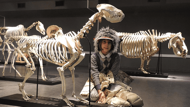 10 ლარად, 50%-იანი ფასდაკლების Swooper Code-ი დაბადების დღის გადახდაზე თბილისის მუზეუმებში  «Happy day-სთან» ერთად image 15