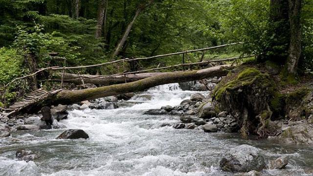 3 ლარად, 45%-იანი ფასდაკლების ვაუჩერი 1 დღიან ტურზე ლაგოდეხში კომპანიისგან «Online Tours» image 5