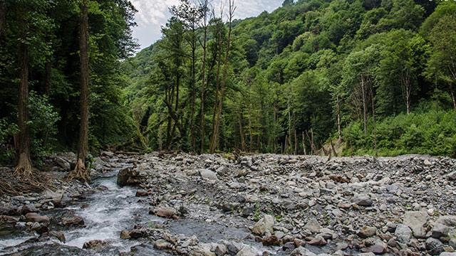 2 ლარად,40%-იანი ფასდაკლების ვაუჩერი 1 დღიან ტურზე ლაგოდეხში კომპანიისგან «ვიმოგზაუროთ ერთად» image 2