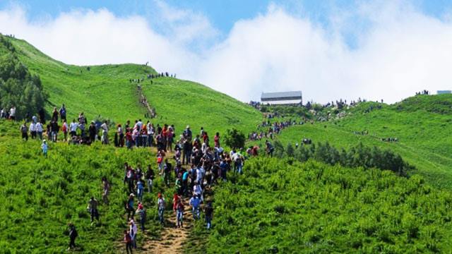 1 ლარად, 25%-იანი ფასდაკლების ვაუჩერი, 1 დღიანი ტური ლომისის სალოცავზე კომპანიისგან «Favorite Tours» image 1