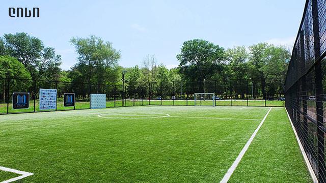 4 ლარად, 50%-იანი ფასდაკლების Swooper Code-ი სპორტული მოედნის დაქირავებაზე image 0