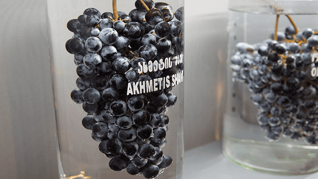 10 ლარად, 50%-იანი ფასდაკლების Swooper Code-ი დაბადების დღის გადახდაზე თბილისის მუზეუმებში  «Happy day-სთან» ერთად image 13