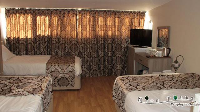 15 ლარად, 56%-იანი ფასდაკლების Swooper Code-ი  5 დღიან ტურზე ტიტების ფესტივალზე სტამბოლში კომპანიისგან «Nice Tours» image 3