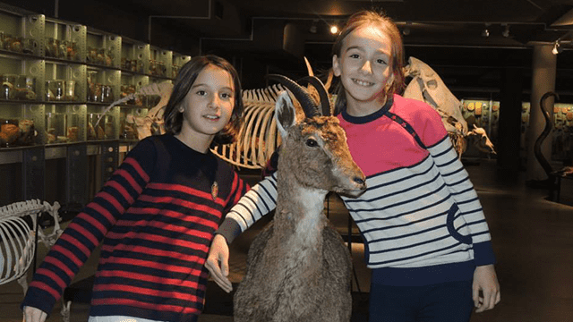 10 ლარად, 50%-იანი ფასდაკლების Swooper Code-ი დაბადების დღის გადახდაზე თბილისის მუზეუმებში  «Happy day-სთან» ერთად image 7